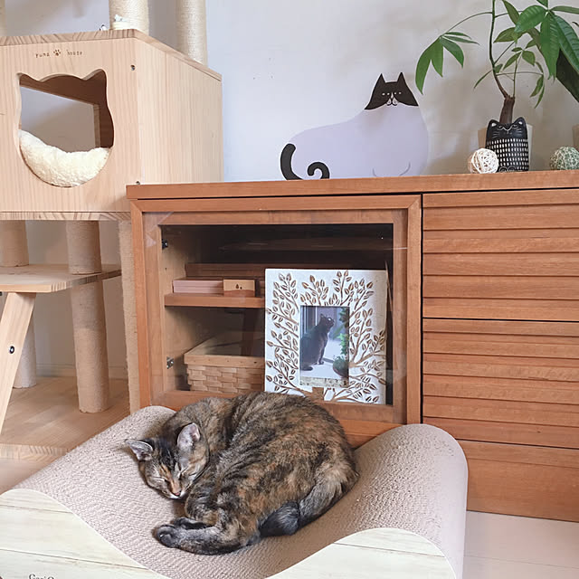 oasisさんの実例写真
