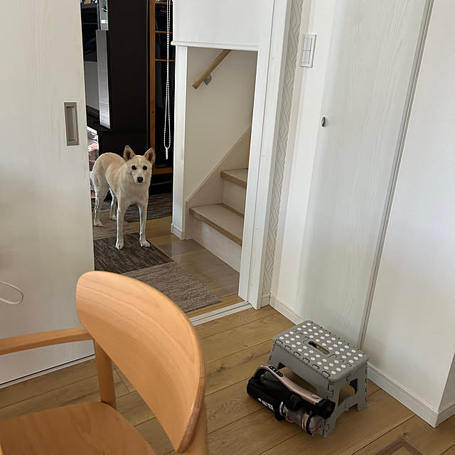 tanboさんの実例写真