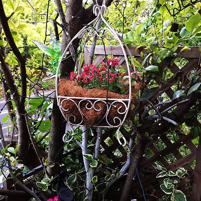 tsuyoppeさんの実例写真