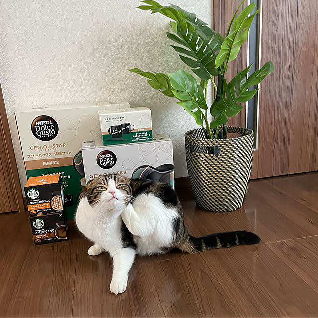 tansukeさんの実例写真