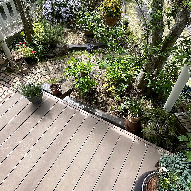 nobikoさんの部屋