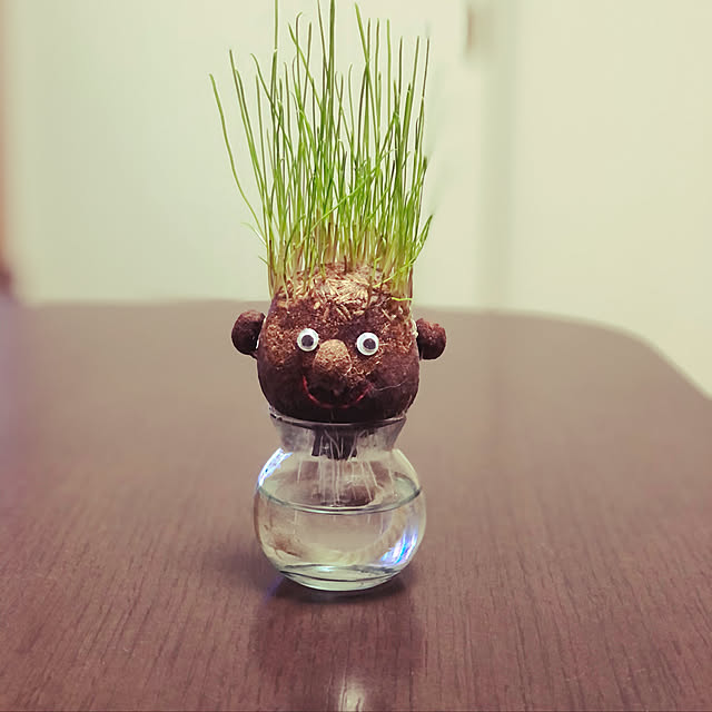 mataさんの実例写真