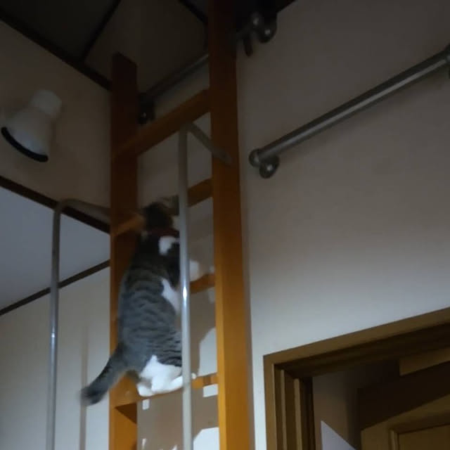 sakai0531cさんの実例写真