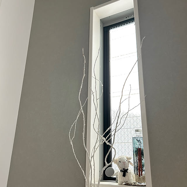 kaanaa01さんの実例写真