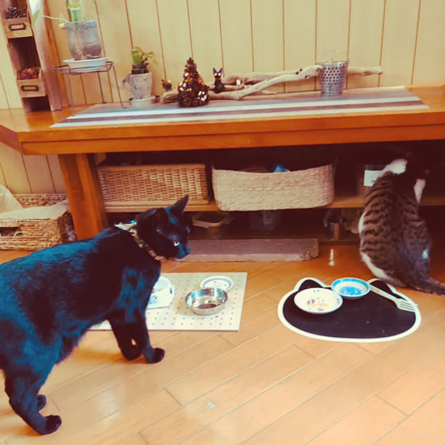 jijiさんの実例写真
