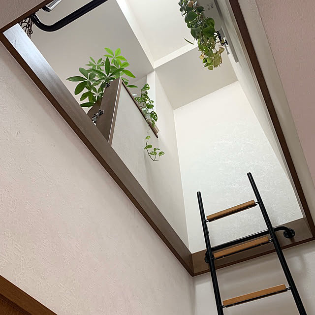 amiさんの実例写真