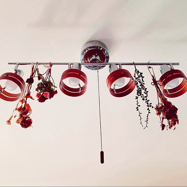 mikoさんの実例写真