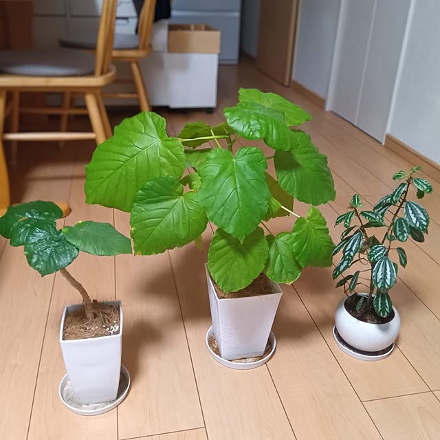 h.t.さんの実例写真