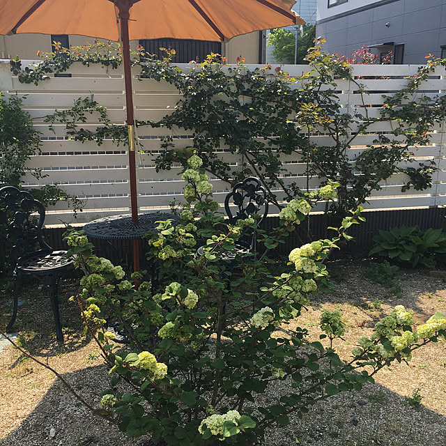 pandaさんの実例写真