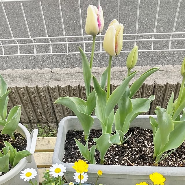 yukinkoさんの部屋