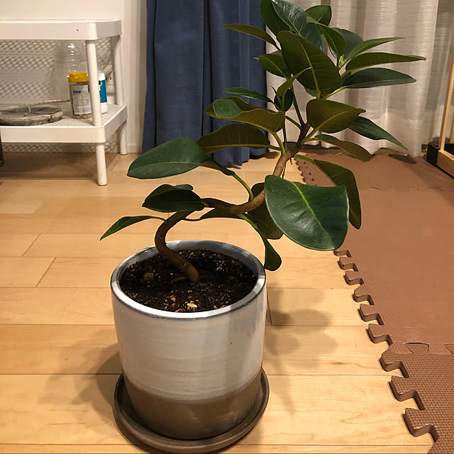 xyaxsuxさんの部屋