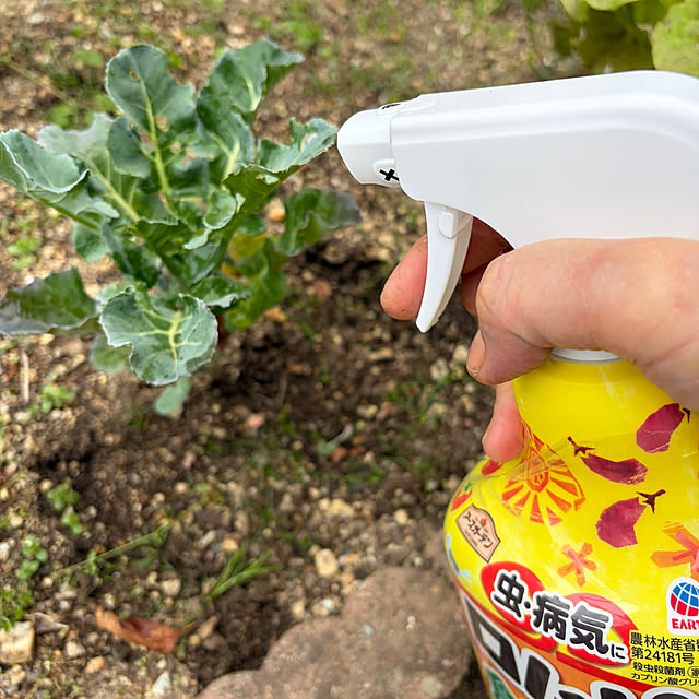 applepieさんの部屋