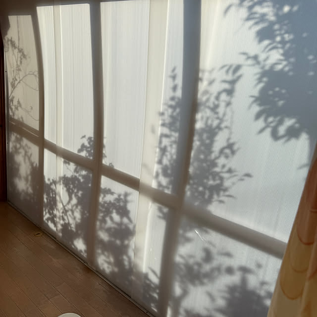 prelumoさんの実例写真