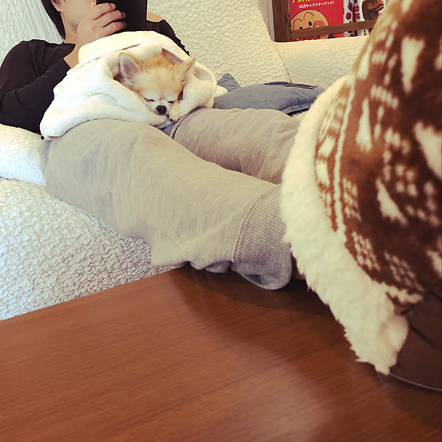 konomi513さんの実例写真