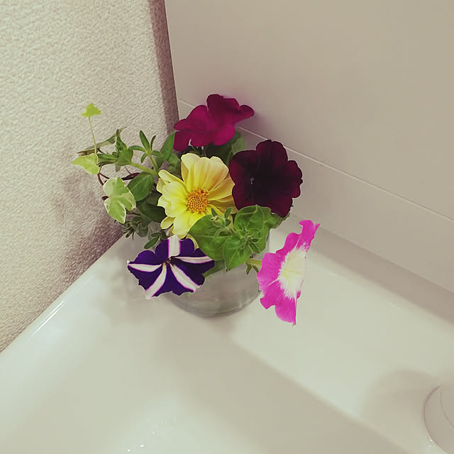 katuさんの実例写真