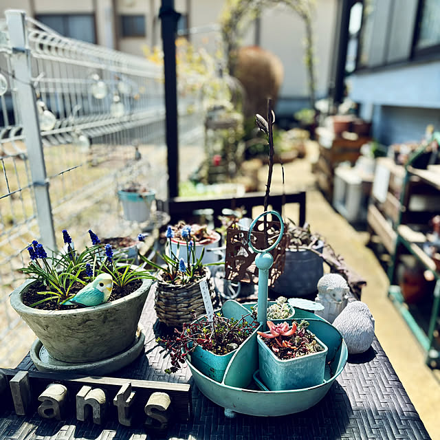 CoCo0617さんの部屋