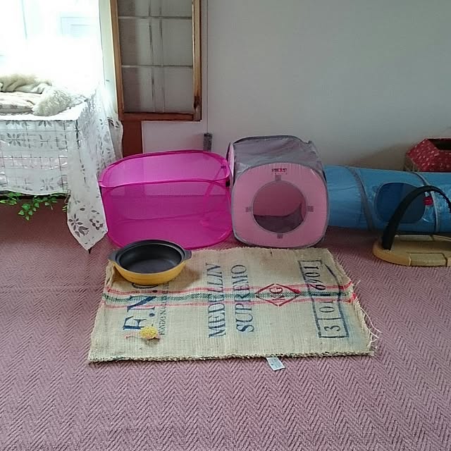 simaumaさんの実例写真