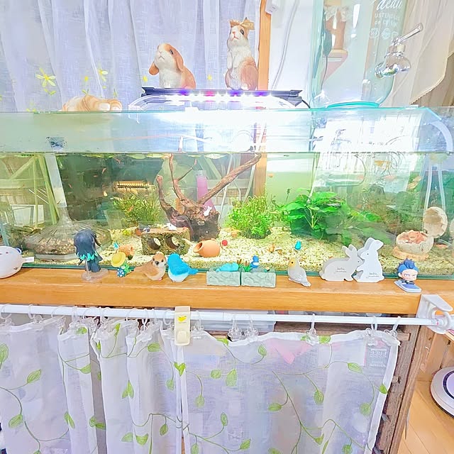 mariaさんの部屋