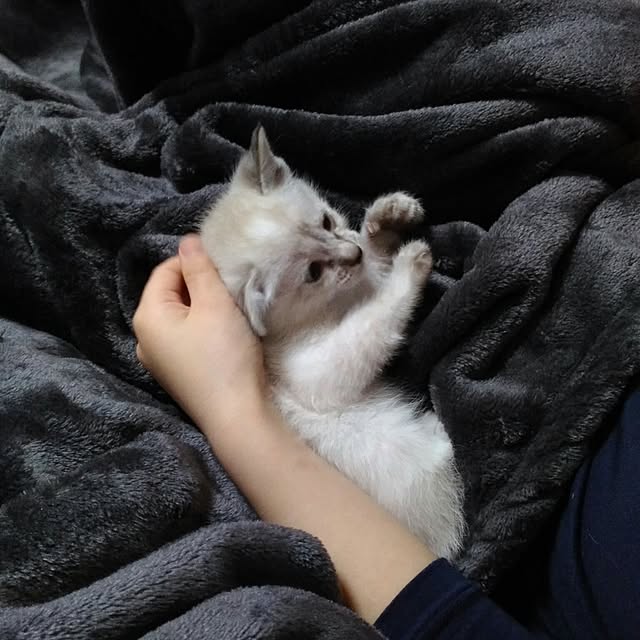 sisimaru1023さんの実例写真