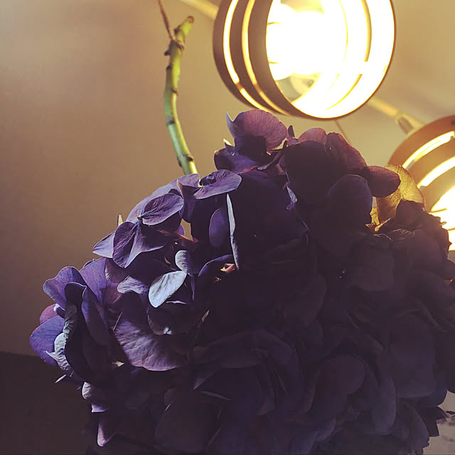 SAYUさんの実例写真