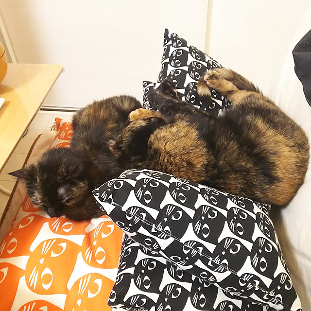 tiduruさんの実例写真
