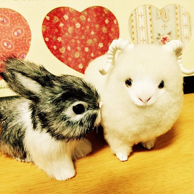 mochiさんの実例写真