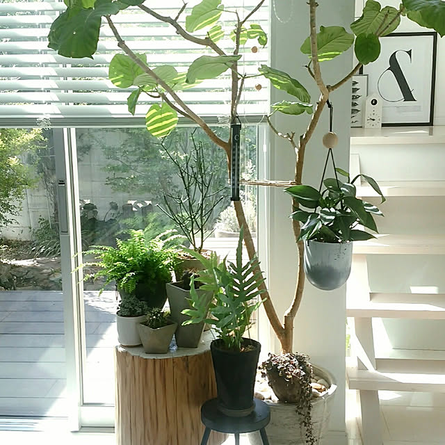 mi-さんの実例写真