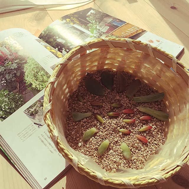 yu_chanさんの実例写真