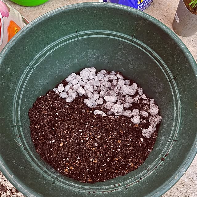 mocomocoさんの部屋