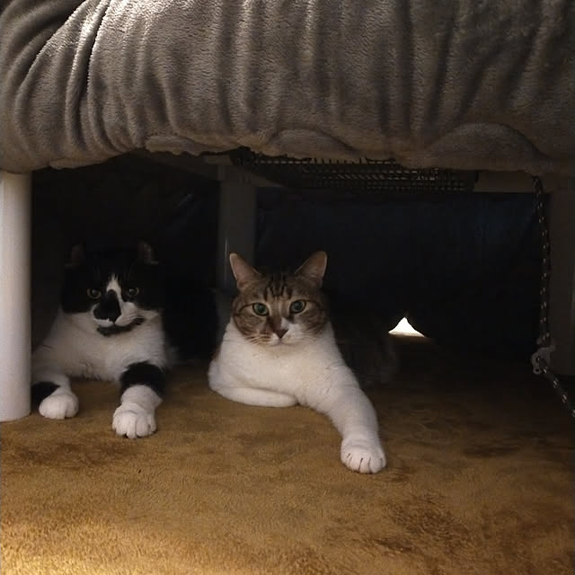 nnk.akさんの実例写真