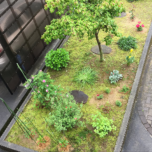 kakoさんの実例写真