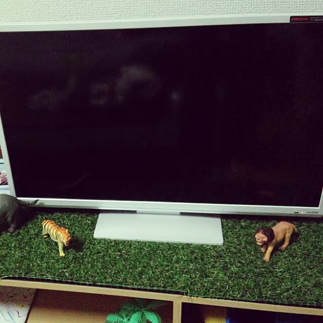 Noriyukiさんの実例写真