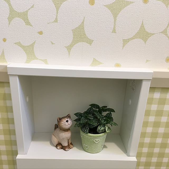 machyさんの実例写真