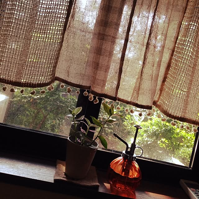 fumirinさんの実例写真