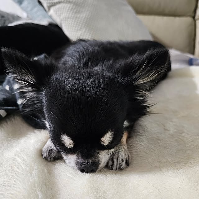 sinさんの部屋