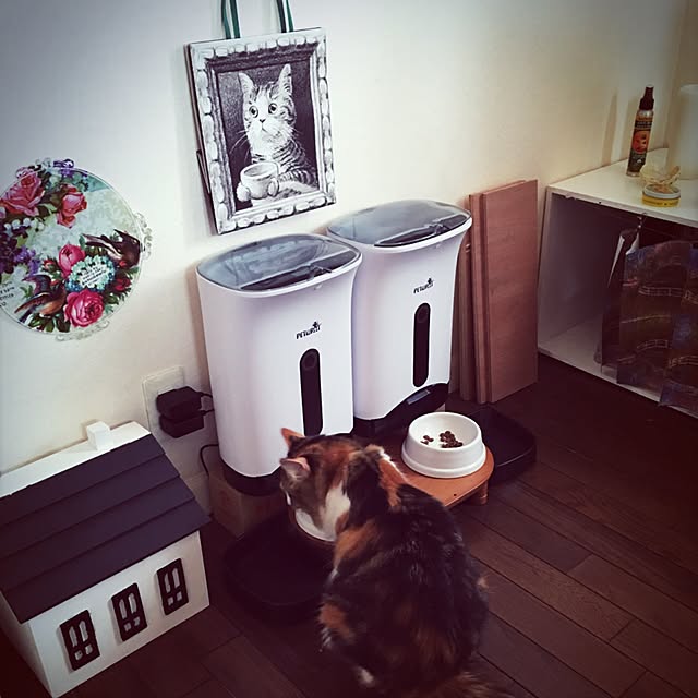 rukaさんの実例写真
