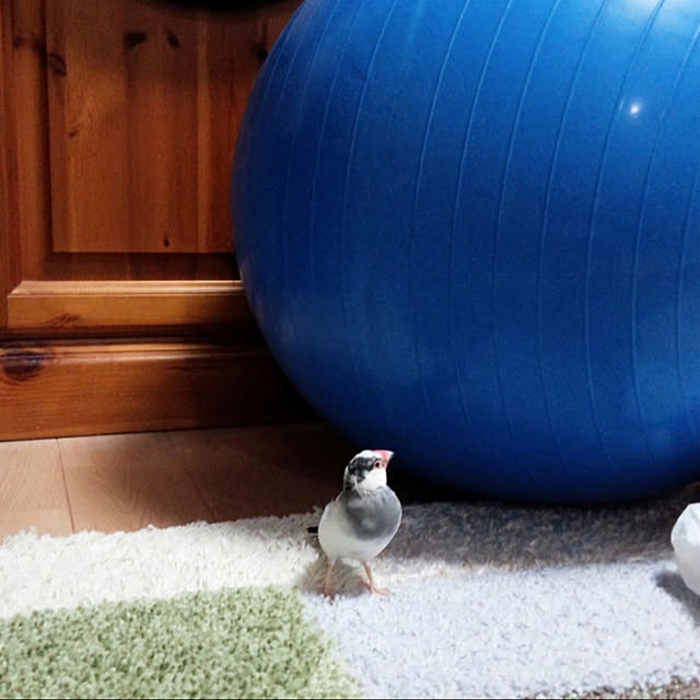 narikoさんの実例写真