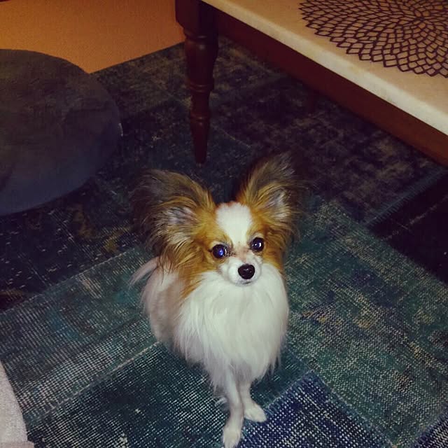 mintさんの実例写真