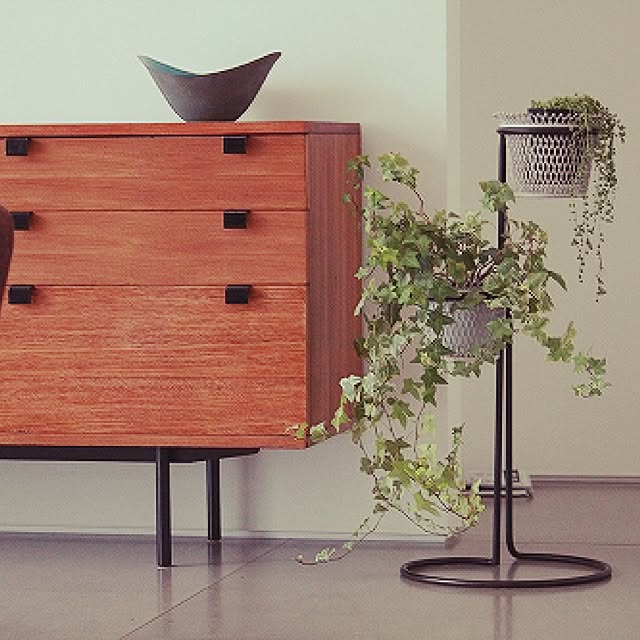 Shinjiさんの実例写真