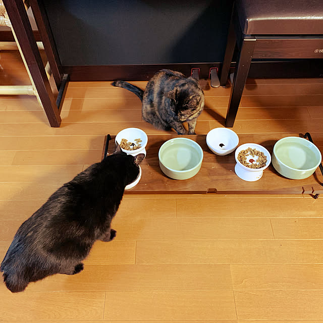 mameazさんの実例写真