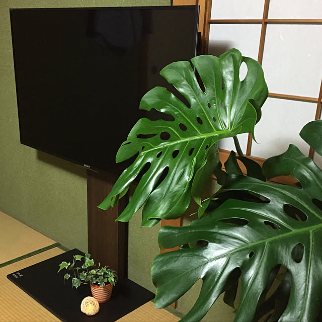 ayakaさんの実例写真