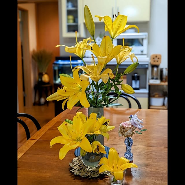 aromameさんの実例写真