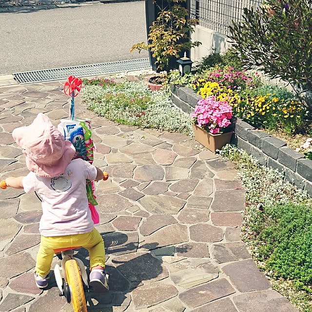 andoromedaさんの実例写真