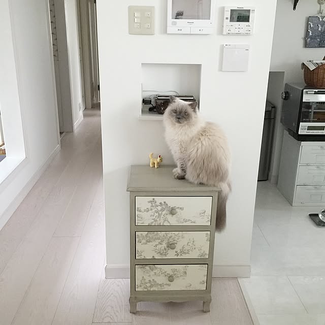 yuchiさんの実例写真