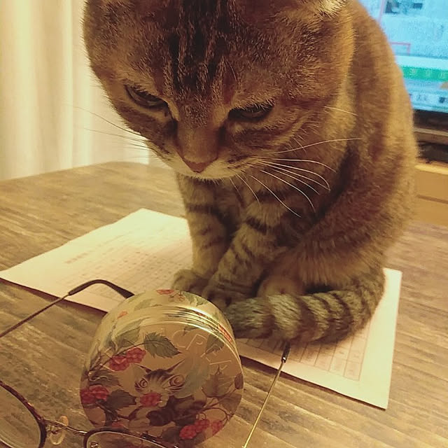 Y.Gさんの実例写真
