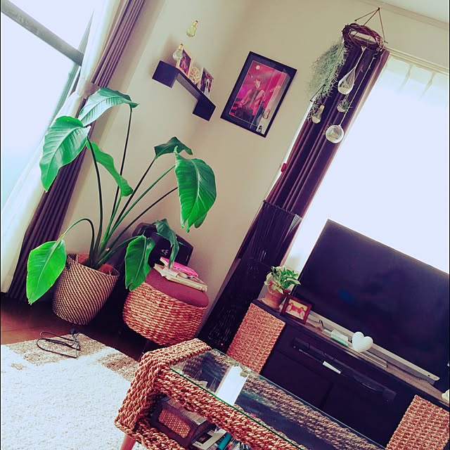 momotetsuさんの実例写真
