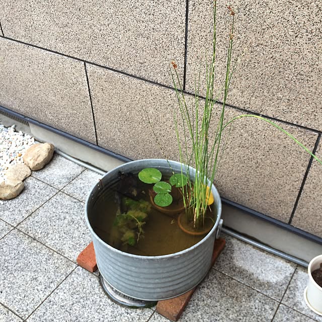 yukaさんの実例写真