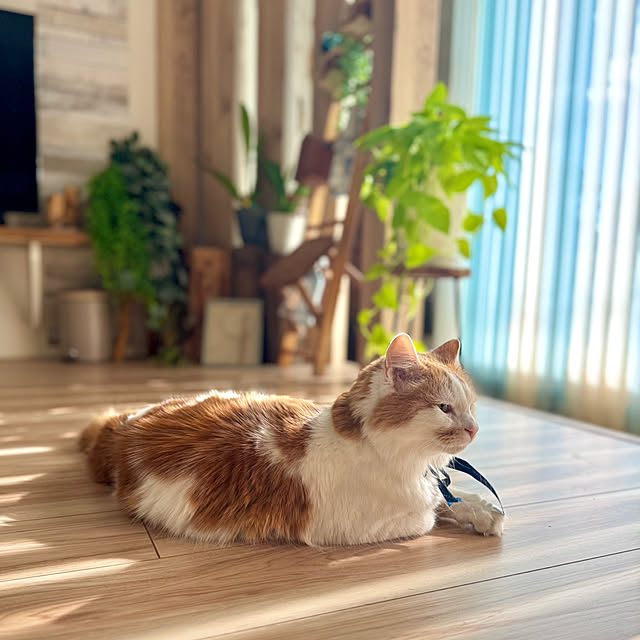 yutaさんの部屋