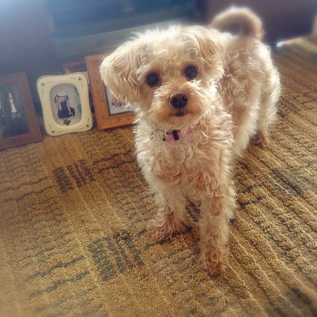 yさんの実例写真