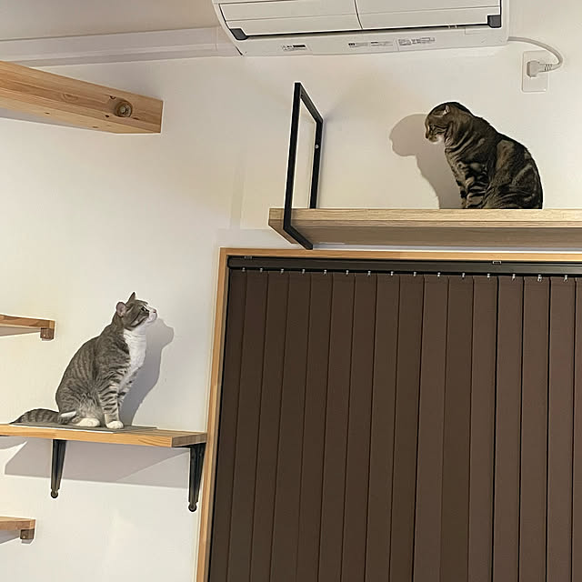 yucciさんの実例写真